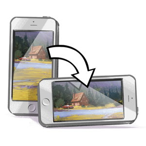 Please change the device orientation